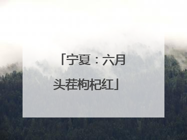 宁夏：六月头茬枸杞红
