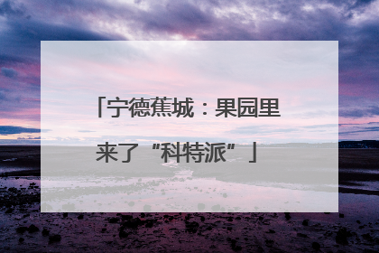 宁德蕉城：果园里来了“科特派”