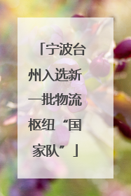 宁波台州入选新一批物流枢纽“国家队”