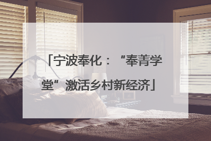 宁波奉化：“奉菁学堂”激活乡村新经济