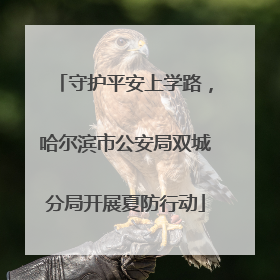守护平安上学路，哈尔滨市公安局双城分局开展夏防行动