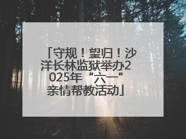 守规！望归！沙洋长林监狱举办2025年“六一”亲情帮教活动
