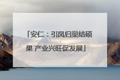 安仁：引凤归巢结硕果 产业兴旺促发展