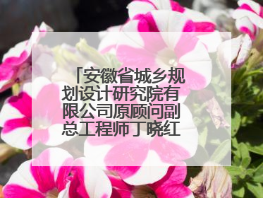 安徽省城乡规划设计研究院有限公司原顾问副总工程师丁晓红接受监察调查
