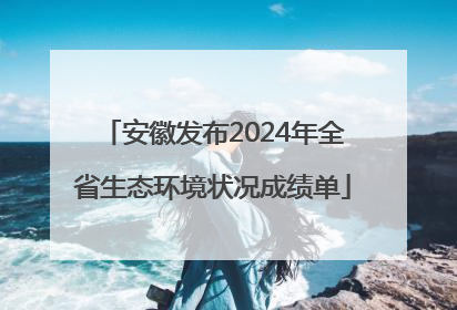 安徽发布2024年全省生态环境状况成绩单