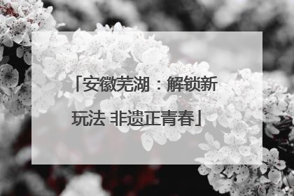 安徽芜湖：解锁新玩法 非遗正青春