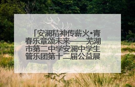 安澜精神传薪火•青春乐章颂未来——芜湖市第二中学安澜中学生管乐团第十二届公益展演圆满举行