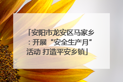 安阳市龙安区马家乡：开展“安全生产月”活动 打造平安乡镇