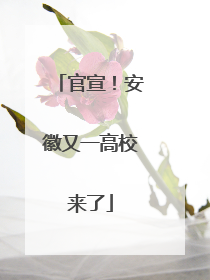 官宣！安徽又一高校来了
