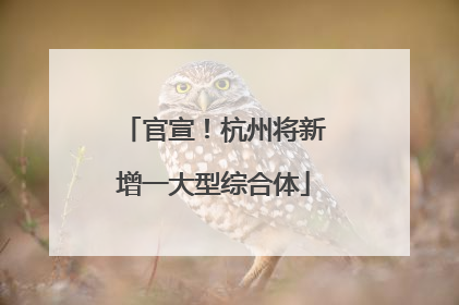 官宣！杭州将新增一大型综合体