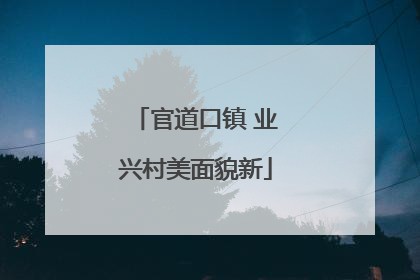 官道口镇 业兴村美面貌新