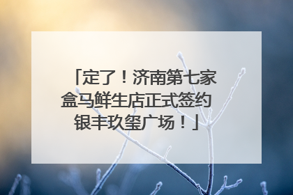 定了！济南第七家盒马鲜生店正式签约银丰玖玺广场！