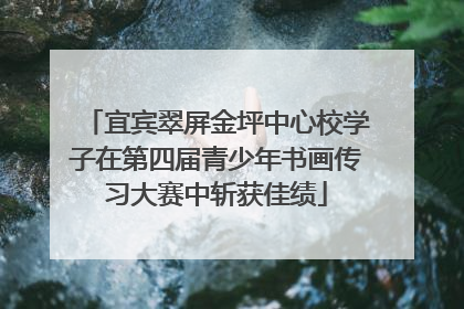 宜宾翠屏金坪中心校学子在第四届青少年书画传习大赛中斩获佳绩