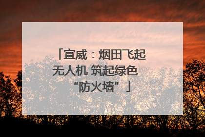 宣威：烟田飞起无人机 筑起绿色“防火墙”
