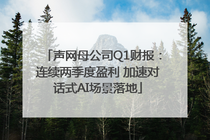 声网母公司Q1财报：连续两季度盈利 加速对话式AI场景落地