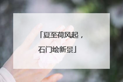 夏至荷风起，石门绘新景