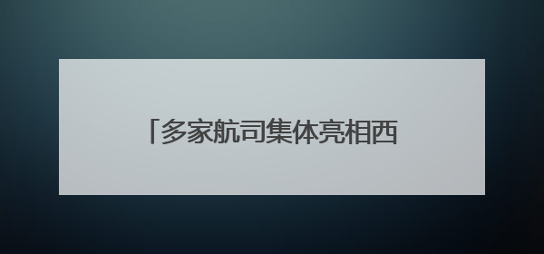 多家航司集体亮相西博会 航线拓展、智慧出行等亮点纷呈