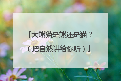 大熊猫是熊还是猫？（把自然讲给你听）
