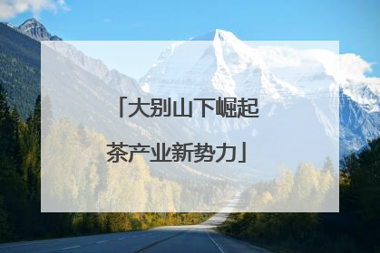 大别山下崛起茶产业新势力