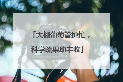 大棚葡萄管护忙，科学疏果助丰收