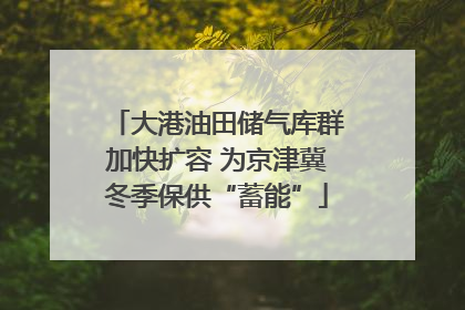 大港油田储气库群加快扩容 为京津冀冬季保供“蓄能”