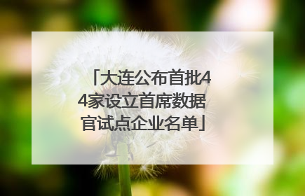 大连公布首批44家设立首席数据官试点企业名单