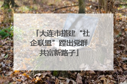大连市搭建“社企联盟”蹚出党群共富新路子