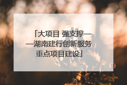 大项目 强支撑——湖南建行创新服务重点项目建设