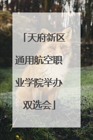 天府新区通用航空职业学院举办双选会