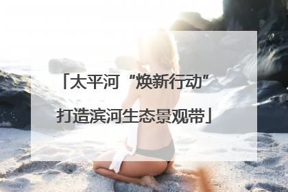 太平河“焕新行动” 打造滨河生态景观带