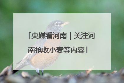 央媒看河南｜关注河南抢收小麦等内容