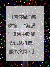 奢侈品消费收缩，“海派”淮海中路能否试试科技、服务突围？