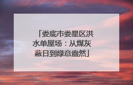娄底市娄星区洪水单屋场：从煤灰蔽日到绿意盎然