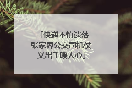 快递不慎遗落 张家界公交司机仗义出手暖人心