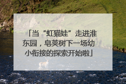 当“虹猫娃”走进淮东园，皂荚树下一场幼小衔接的探索开始啦
