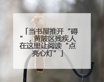 当书屋推开“碍”，黄陂区残疾人在这里让阅读“点亮心灯”