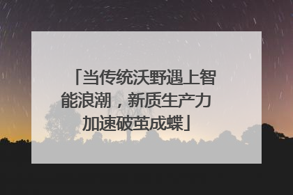 当传统沃野遇上智能浪潮，新质生产力加速破茧成蝶