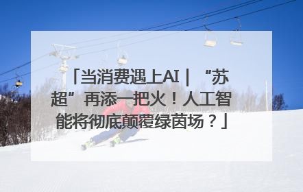 当消费遇上AI｜“苏超”再添一把火！人工智能将彻底颠覆绿茵场？