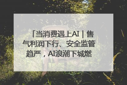 当消费遇上AI｜售气利润下行、安全监管趋严，AI浪潮下城燃企业如何破局