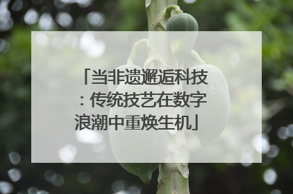 当非遗邂逅科技：传统技艺在数字浪潮中重焕生机