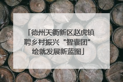 德州天衢新区赵虎镇聘乡村振兴“智囊团” 绘就发展新蓝图