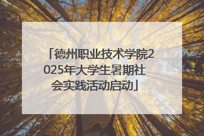 德州职业技术学院2025年大学生暑期社会实践活动启动