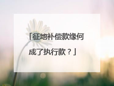 征地补偿款缘何成了执行款？