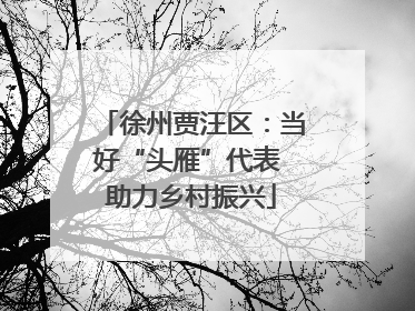 徐州贾汪区：当好“头雁”代表 助力乡村振兴