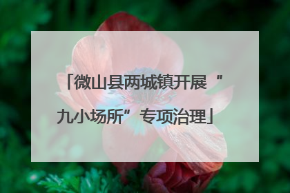 微山县两城镇开展“九小场所”专项治理