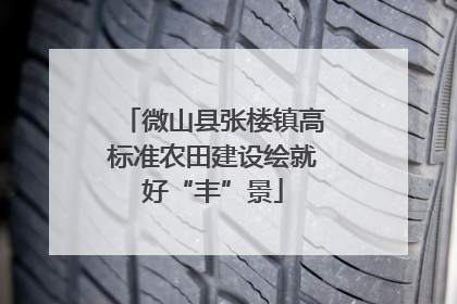 微山县张楼镇高标准农田建设绘就好“丰”景