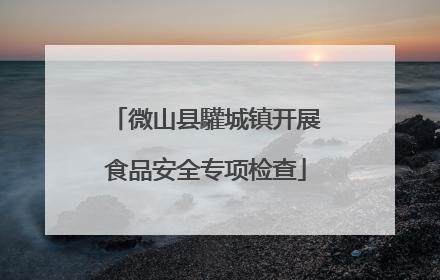 微山县驩城镇开展食品安全专项检查