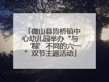 微山县鲁桥镇中心幼儿园举办“与‘粽’不同的六一”双节主题活动