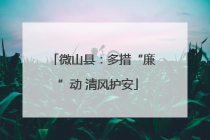 微山县：多措“廉”动 清风护安