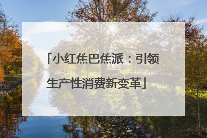 小红蕉巴蕉派：引领生产性消费新变革